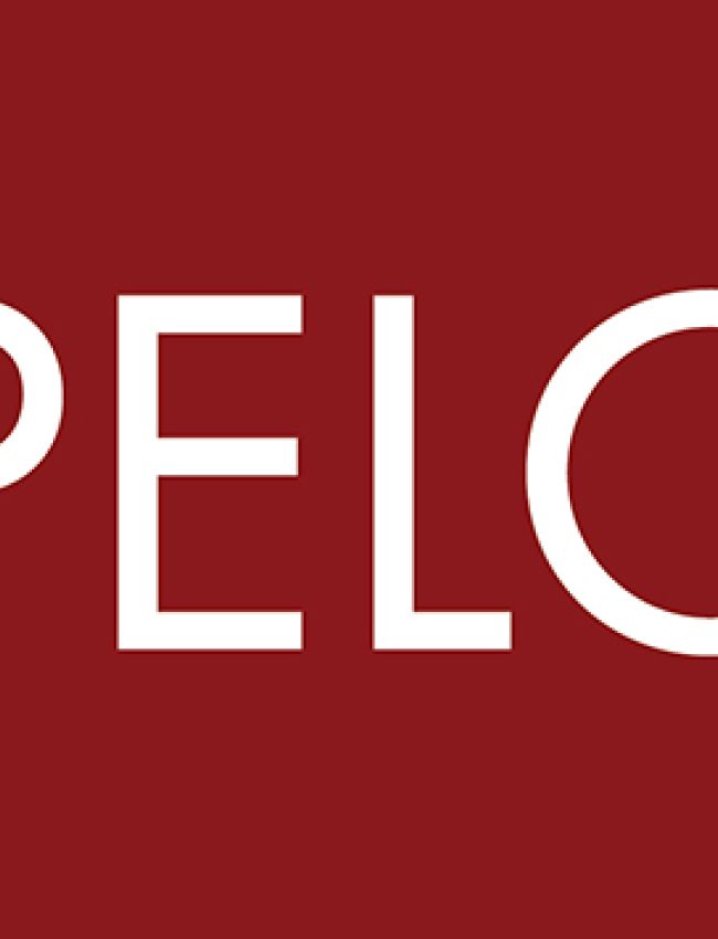 Apelon Logo